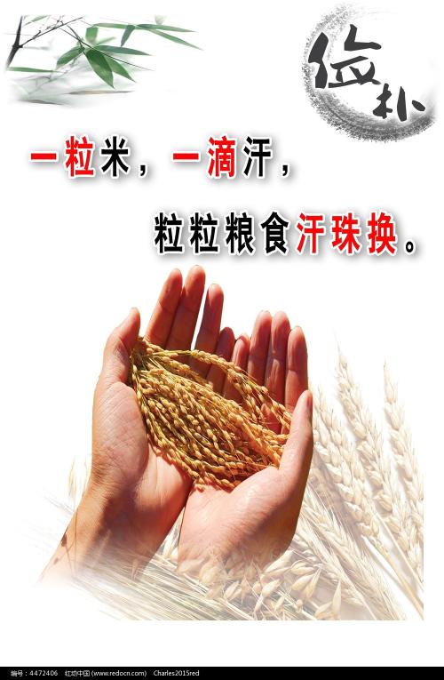 安省高中毕业证书能去香港读大学吗